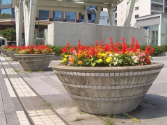 5-06sakae-parkflowerbox.jpg